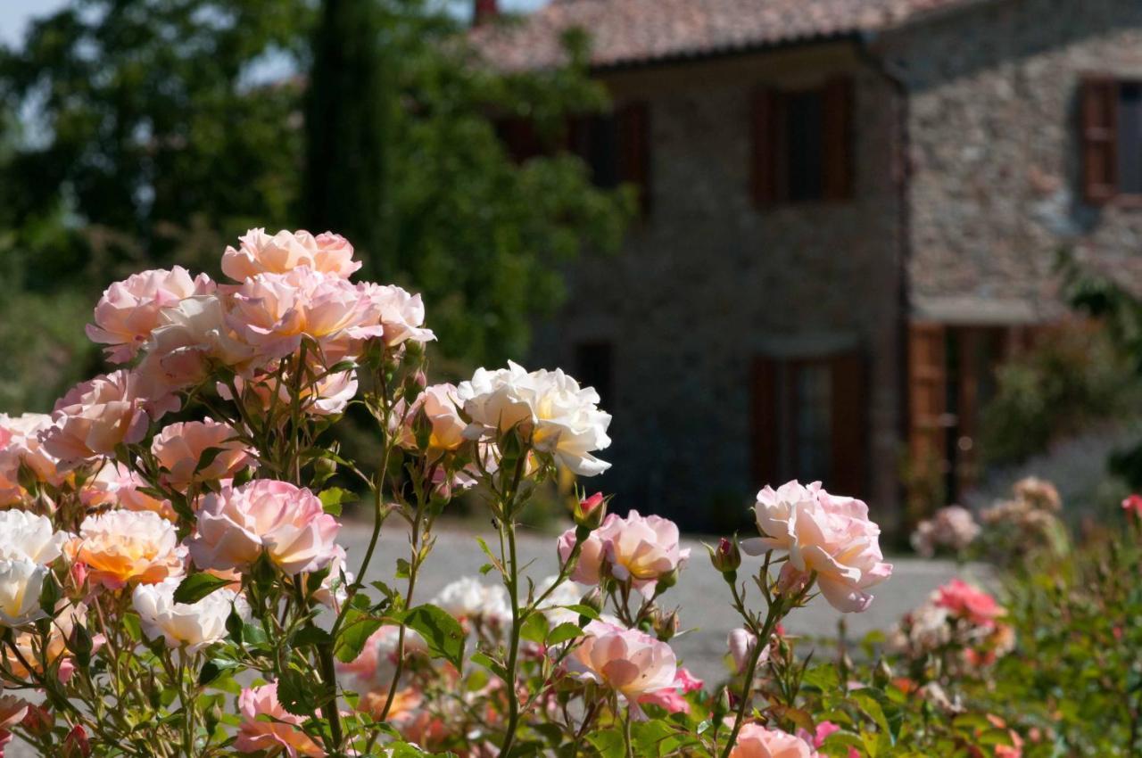 Agriturismo Le Valli Casciana Terme Bagian luar foto